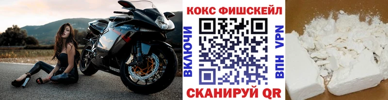 Cocaine FishScale  Новоалтайск 