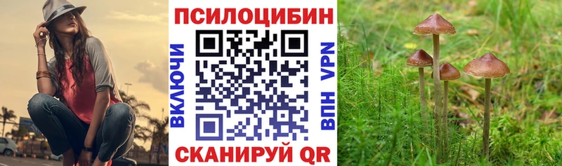 Псилоцибиновые грибы Psilocybine cubensis  Новоалтайск 
